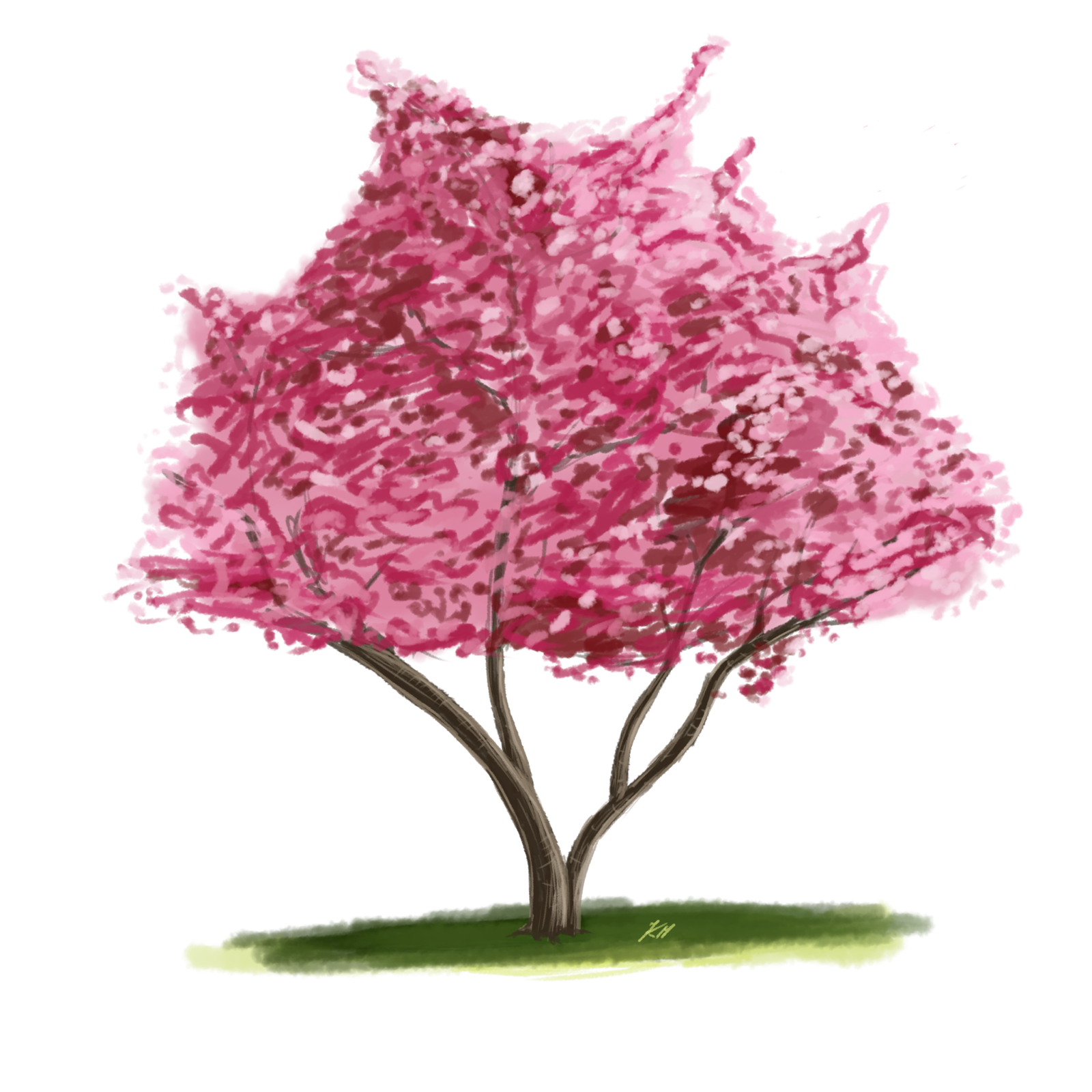 un cerisier en fleur